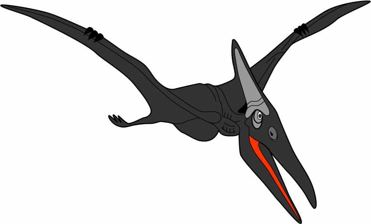 New Research Suggests How Pterodactyls Really Flew