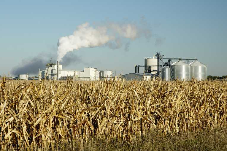 Act on food speculators and ethanol conversion now study warns governments