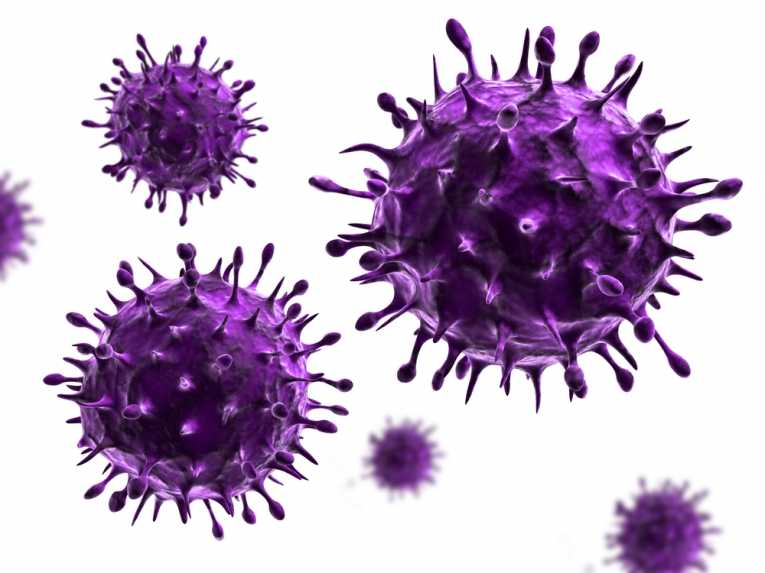 Antibody therapy to treat Hendra virus in humans
