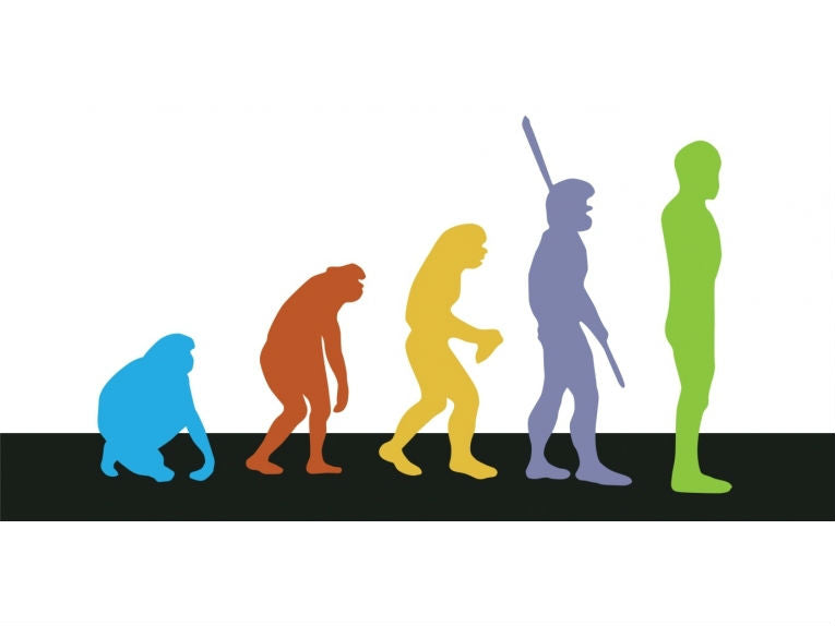 Those pesky apes keep coming and adapting - and so, unfortunately, do the theories