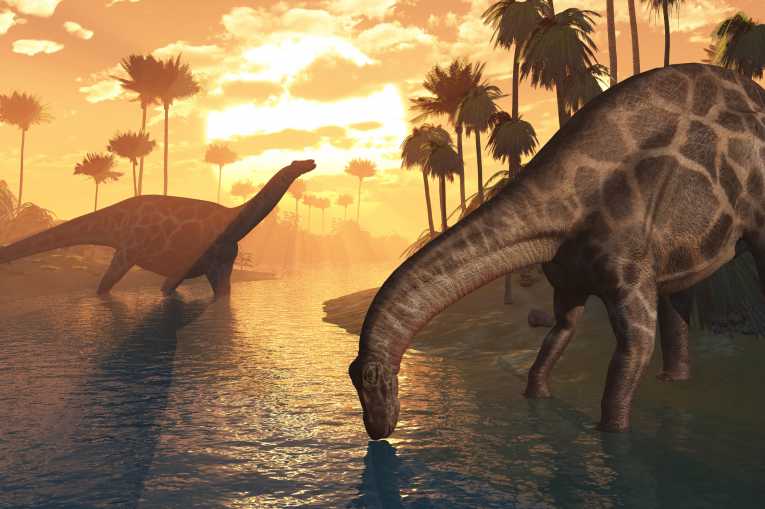 Did some dinosaurs survive the mass extinction?