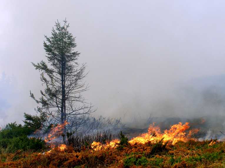 Changing climate alters wildfire risks, says study