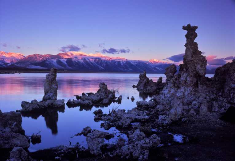 Mono Lake bacteria: Challenging life adaptability