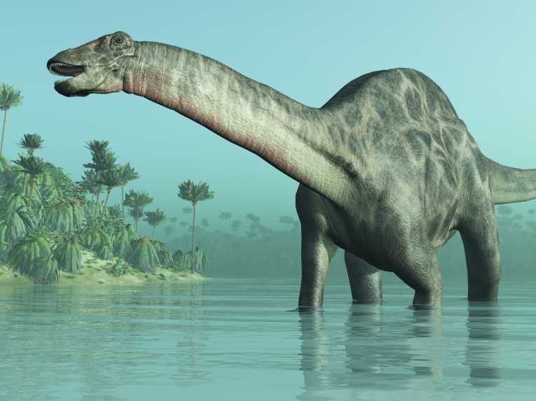 Osteoderms storing minerals helped huge dinosaurs survive