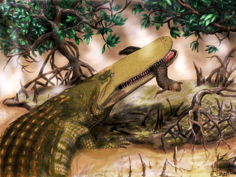 Most ancient crocodile discovered, the Shieldcroc (Aegisuchus witmeri)