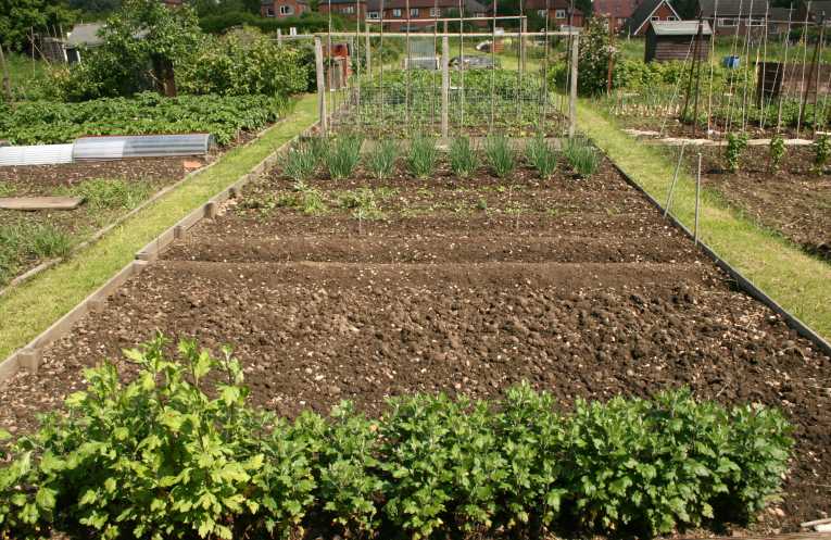 Urban farming offers green benefits