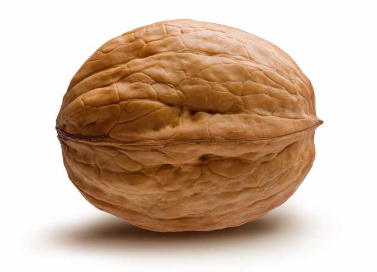 Walnuts Contain Most Healthy Antioxidants
