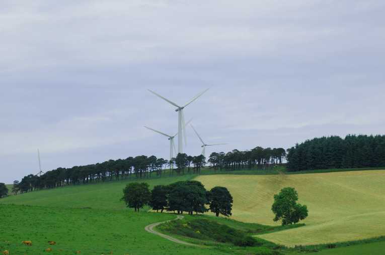 Wind Farms paid to stop producing energy
