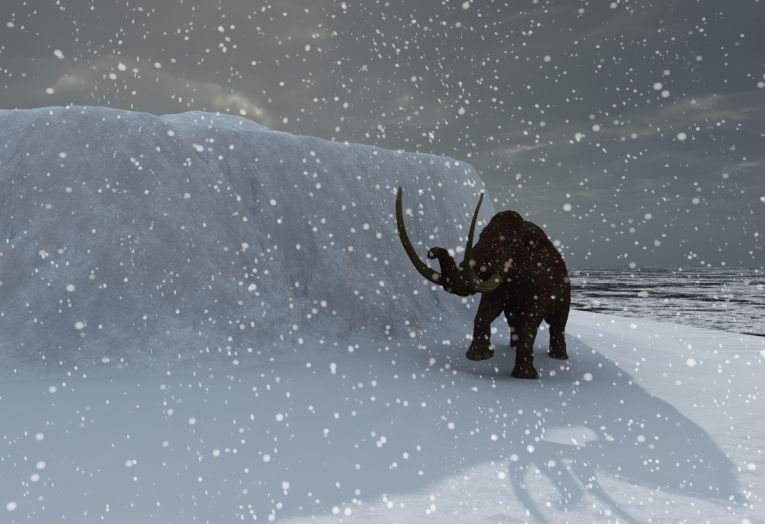 Woolly mammoth range dynamics are discovered