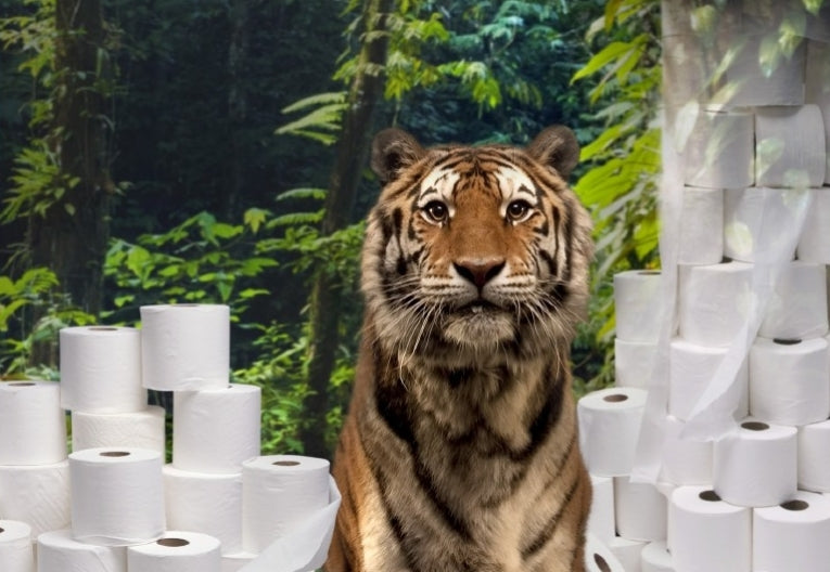 WWF report links Sumatra deforestation to toilet paper