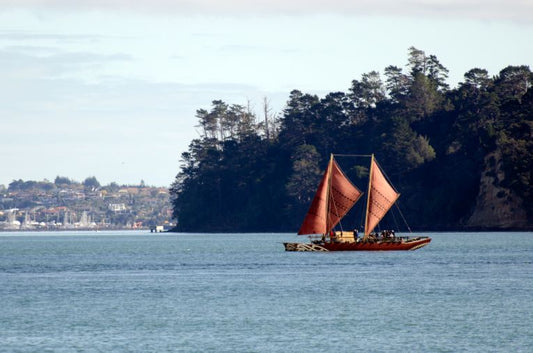 Voyage to/from Ancient New Zealand