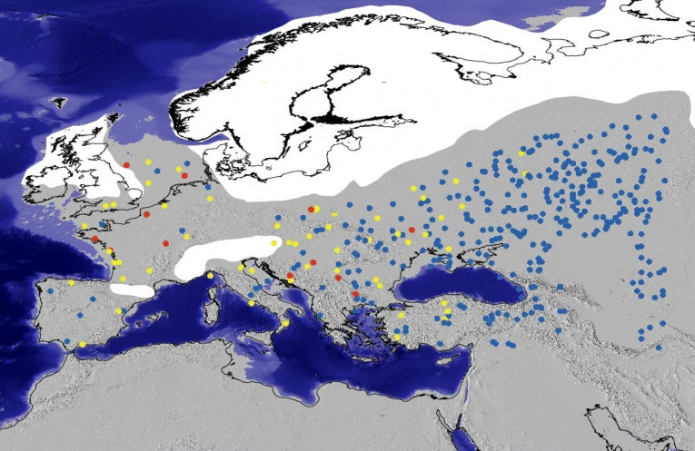 Examining Ice Age Hominins' adaptability to Climate Change