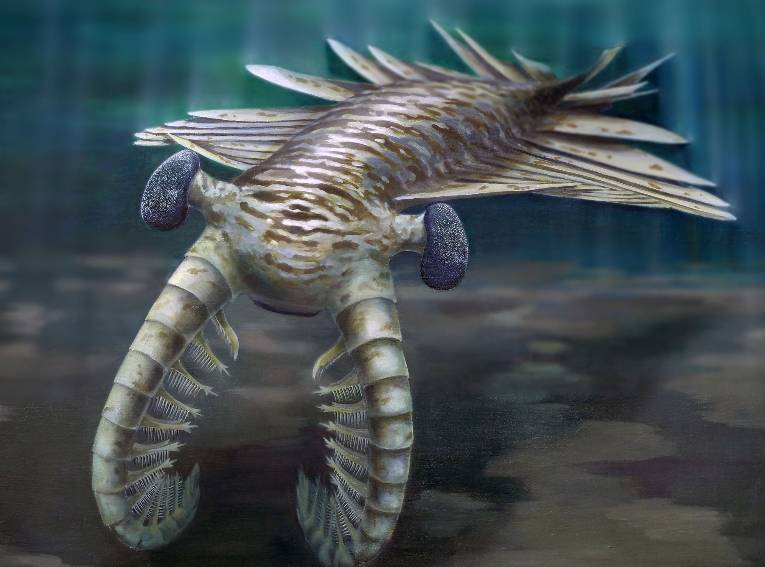 Eye fossil proves ancient sea predator had strong vision