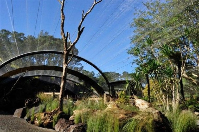 Auckland Zoo captures NZ's natural heart
