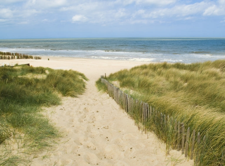 Belgium Plans Doubly-Effective ''Island of Wind''