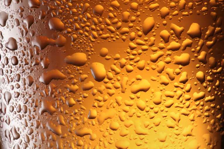 A warming beer! Scientists look for biofuels in brew waste