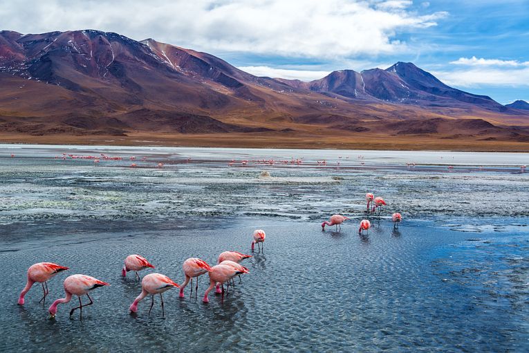 Lake disappears as Bolivia dries up.