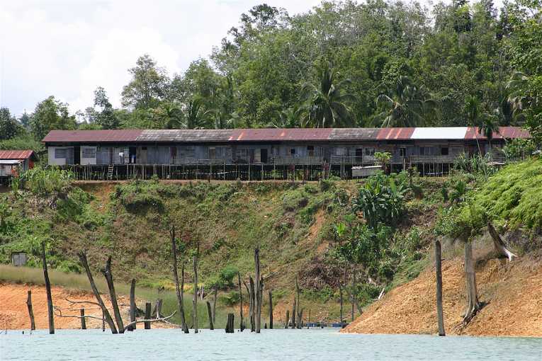 Borneo Longhouse communities sue timber companies and government