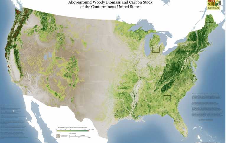 Carbon counting in the USA - with a ground-breaking new biomass map