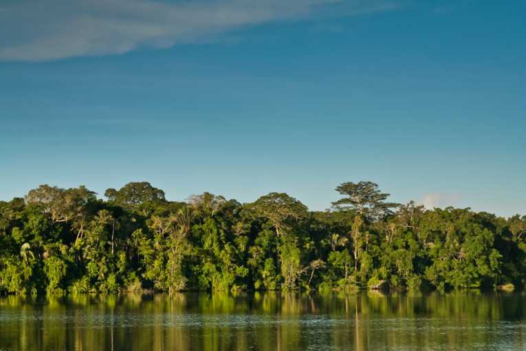 Carbon pirates threaten indigenous Peruvian peoples, report says