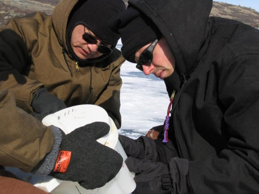 Climate change killed off Viking settlement on Greenland