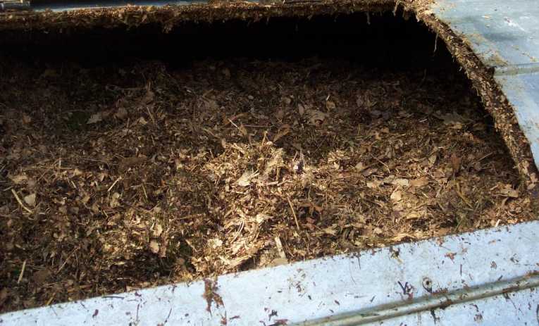 The Importance of Composting: Help Eliminate Organic Waste, Fertilize Soil