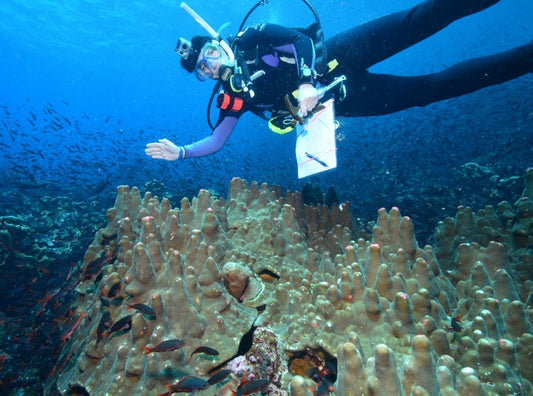 Coral rarely crosses Eastern Pacific Barrier, as Darwin predicted, says study