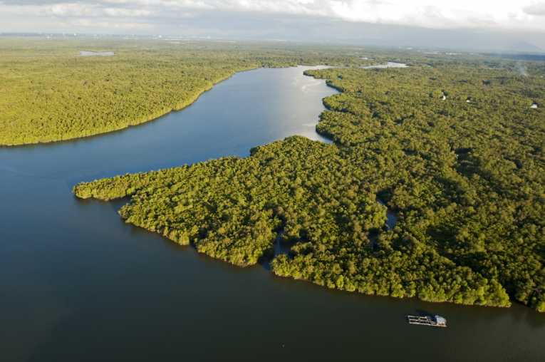 Destroyed and degraded coastal marine ecosystems increasing global car ...