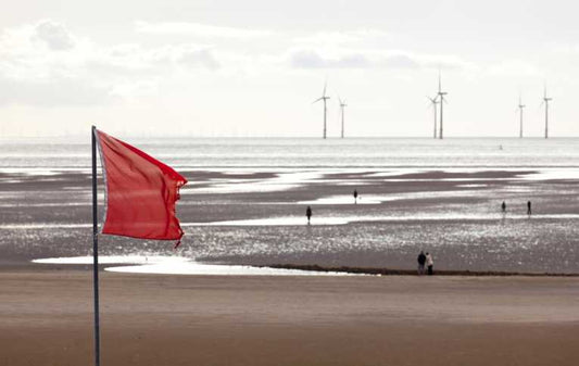 Is Trump wrong to protest the wind?