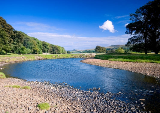 Drought and its consequences on river life