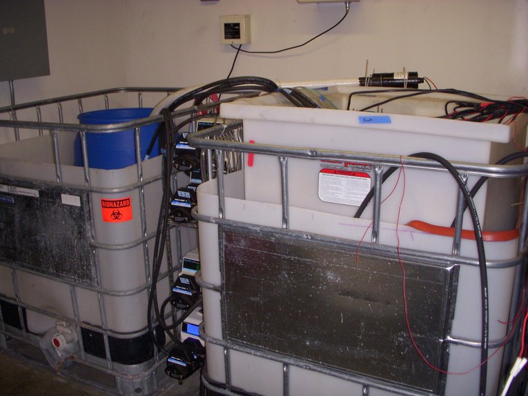 Microbial fuel cell - Eco-friendly sewage treatment - correction