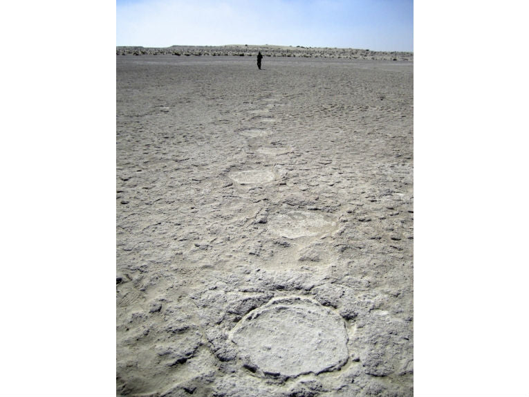 Footprints Bring Fossil Elephants to Life