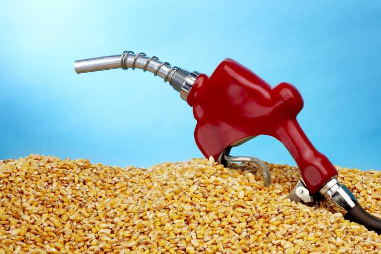 Ethical impact of biofuels bonanza has 'backfired badly'