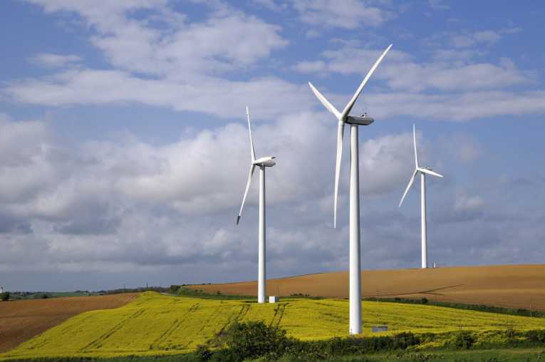 Evolving more efficient wind farms