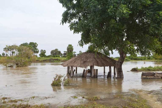 Extreme weather motivates greener behaviour