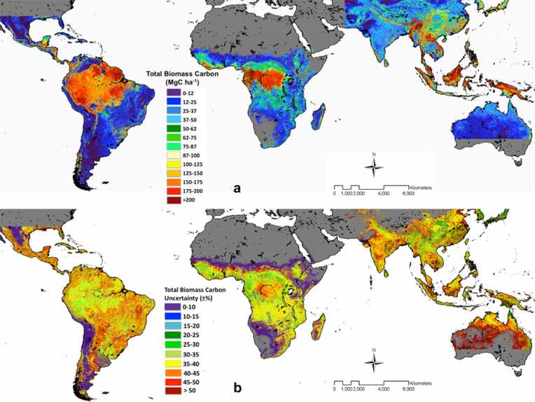 NASA forest map shows carbon storage