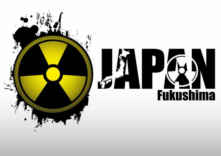 Fukushima six months on: scientists assess the impacts