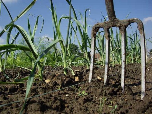 Going back to nature builds carbon stocks for Australian farmers