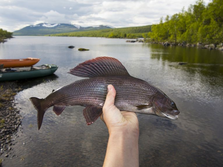 Quagga mussels invade your waterways!