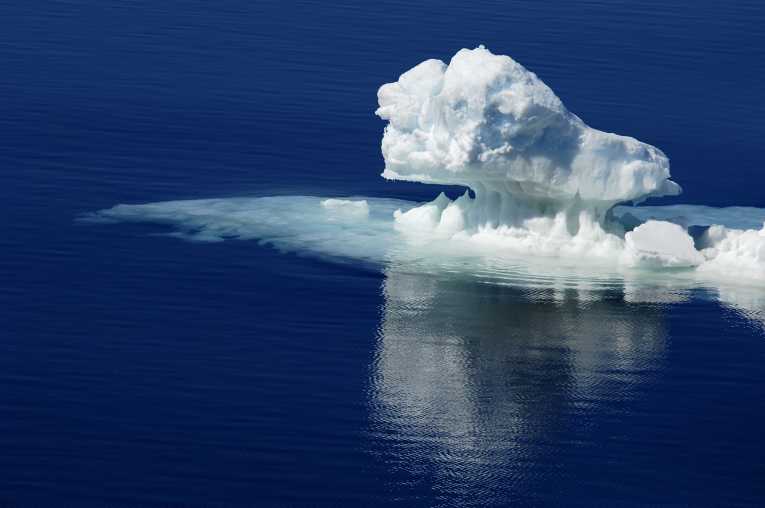 Human activity threatening unique Antarctic marine ecosystem