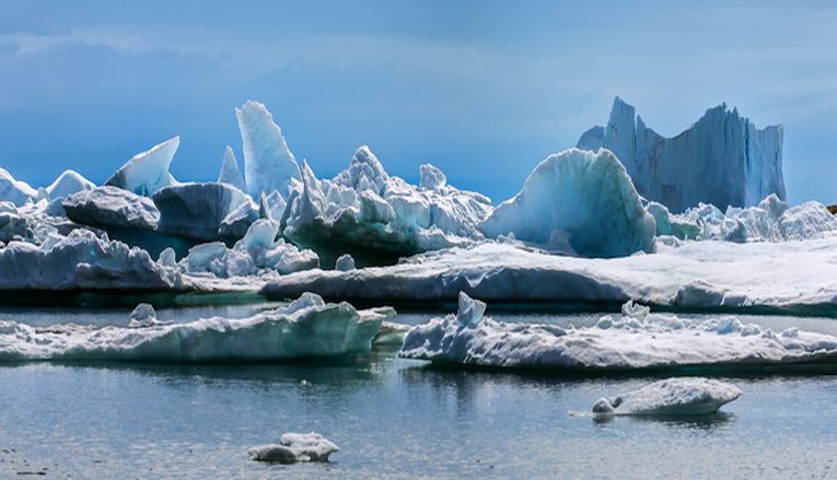 Sea ice helps carbon absorption
