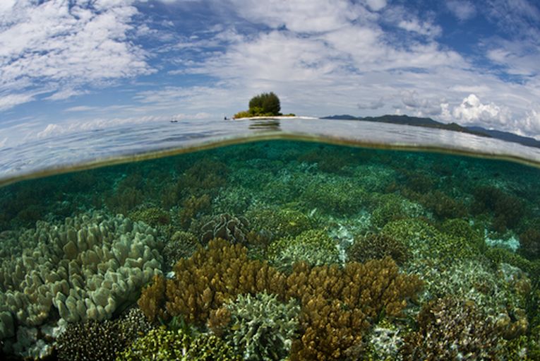 Islands and their biodiversity – Earth Times