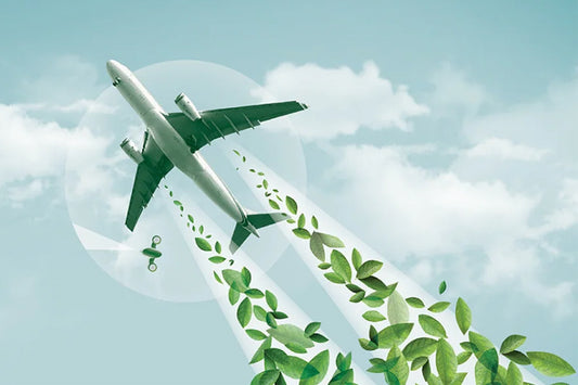Will air travel ever be truly sustainable?
