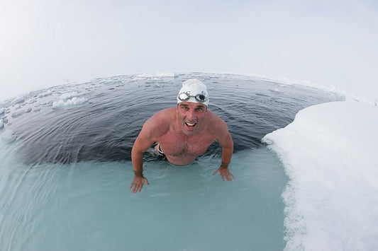 Is it penguin or human? Important MPA Antarctic swim-bid.