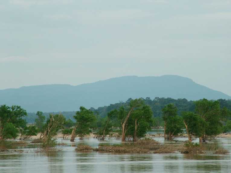 Mekong freshwater biodiversity threatened by dam project