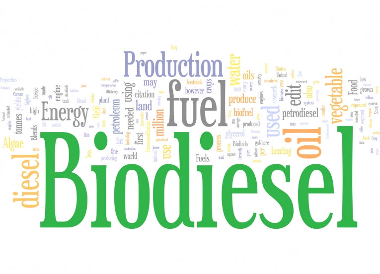 Biodiesel produced from wastewater microalgae