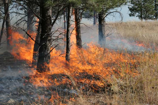 Natural disasters linked to climate change, says UN climate chief