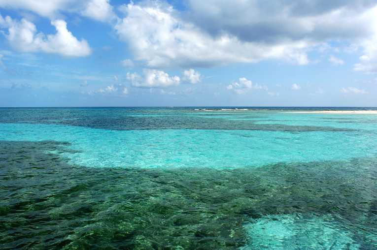 Natural disasters pose threat to coral reefs