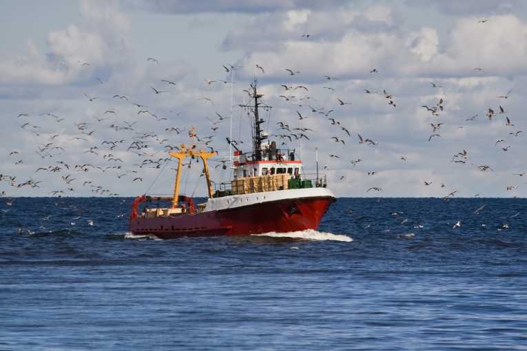 New fishing quotas may help lower discards
