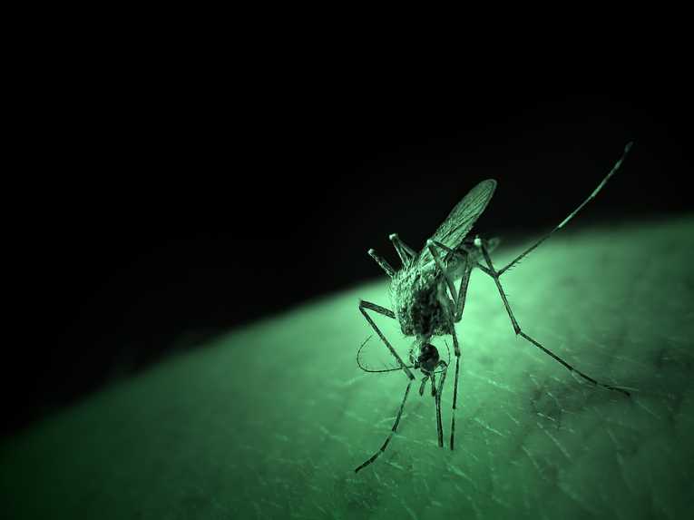 New vaccine may improve malaria prevention